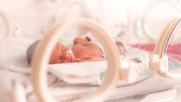 Hình ảnh chi tiết tin tức Giảm nguy cơ sinh non khi bà mẹ được quản lý thai nghén đầy đủ Hình ảnh tin tức Giảm nguy cơ sinh non khi bà mẹ được quản lý thai nghén đầy đủ