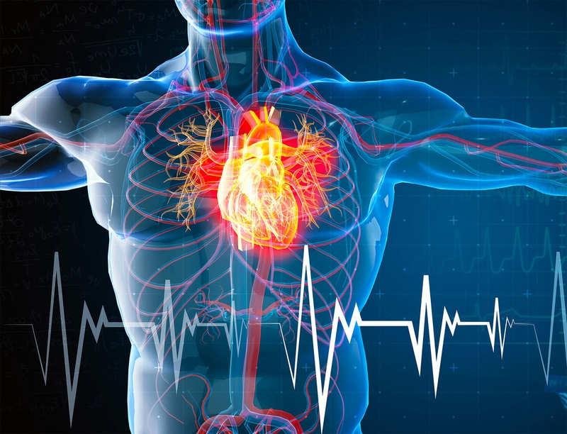 Lợi ích của quan hệ tình dục