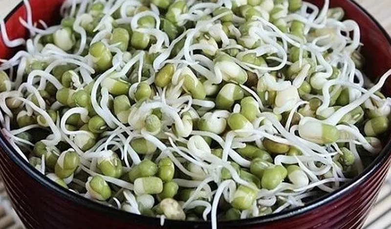 Mẹ bầu 3 tháng đầu ăn giá đỗ chín được không?