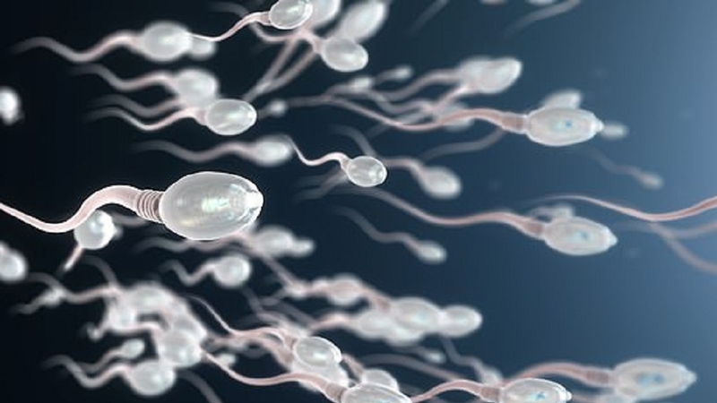 Xin tinh trùng để mang thai