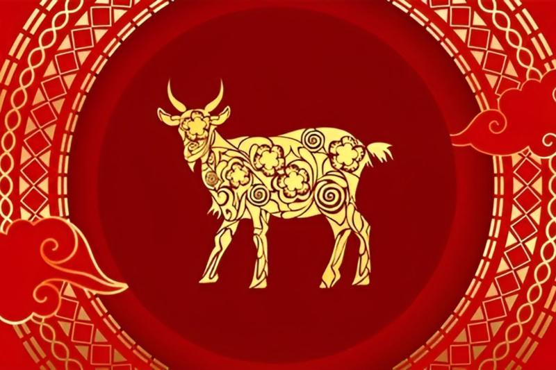 Tuổi Tân Mùi hợp số nào theo phong thủy